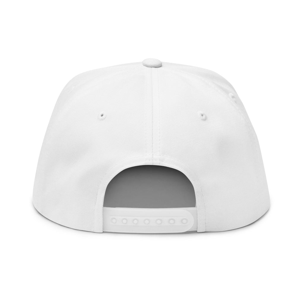 Embroidered Flat Bill Cap — "24/7 ALL GAS...No booty & no license"